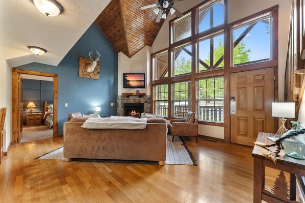 Televisión, chimenea y videojuegos 