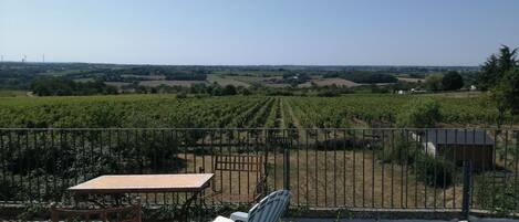 A terrace with a table and chairs, overlooking a vineyard.