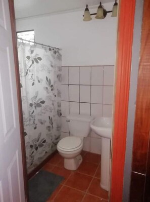 Shower, towels, soap, toilet paper