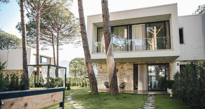 Parrot's Home Lalez Bay