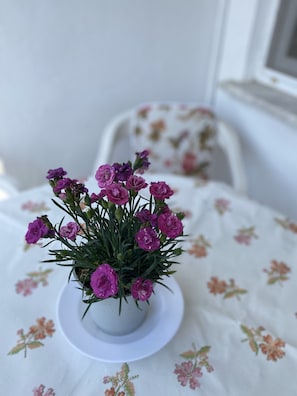 A potted plant with purple flowers on a table with a floral tablecloth. - Sedef Pansiyon Apart Otel Sarkoy (Sarkoy)