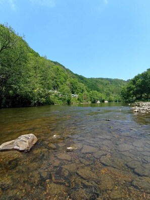 Ein klarer Fluss mit sichtbaren Steinen und einem bewaldeten Hang.