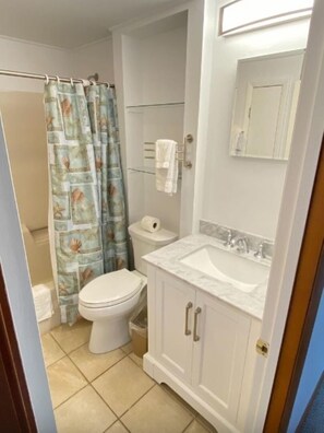Shower, hair dryer, towels, toilet paper