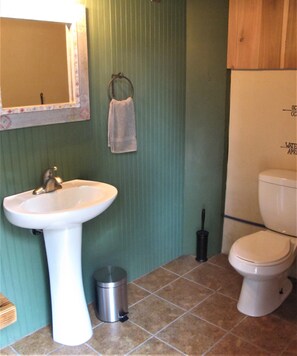 Shower, towels, soap, toilet paper