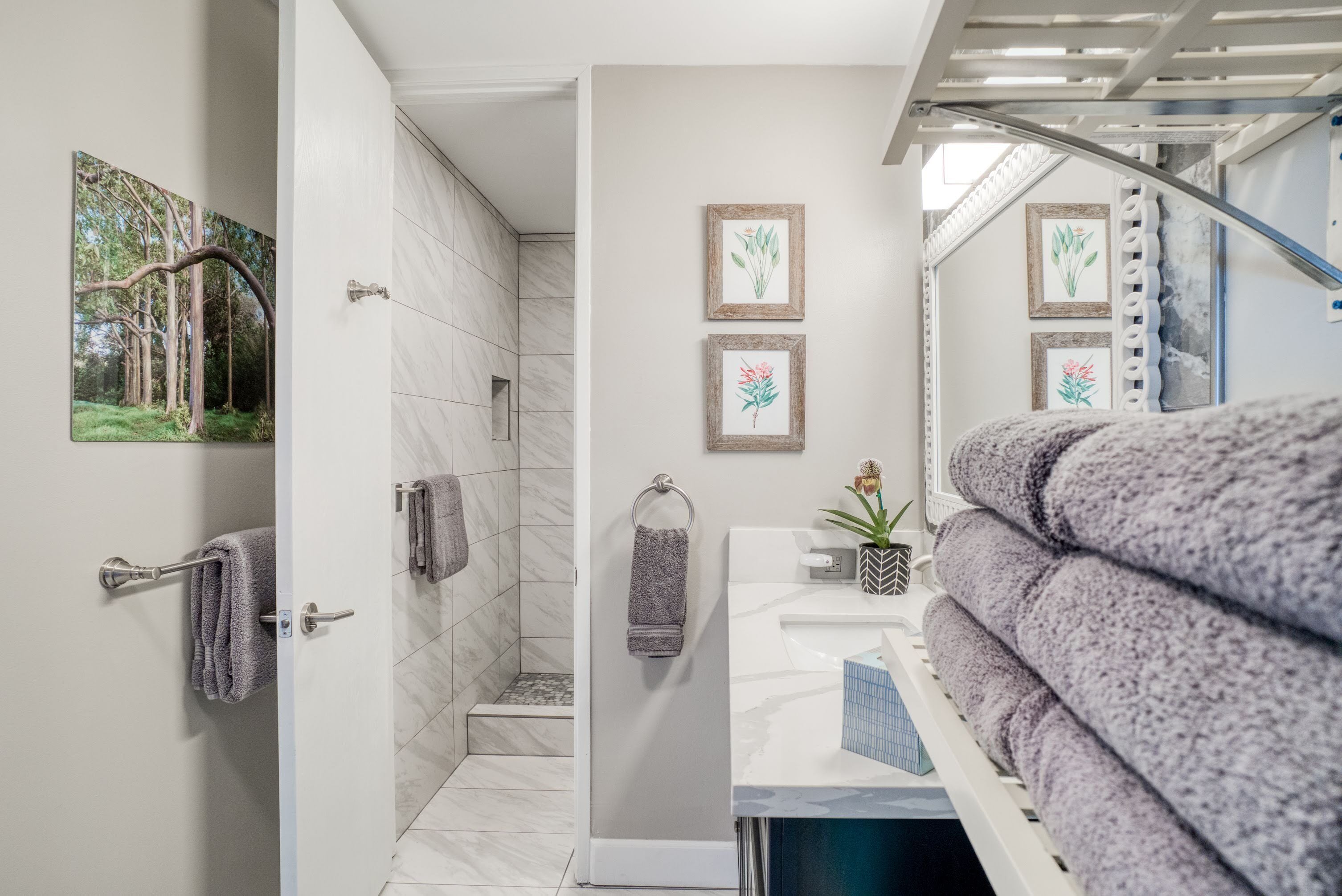 A modern bathroom with a shower, a sink with a towel rack, and framed botanical prints on the wall.