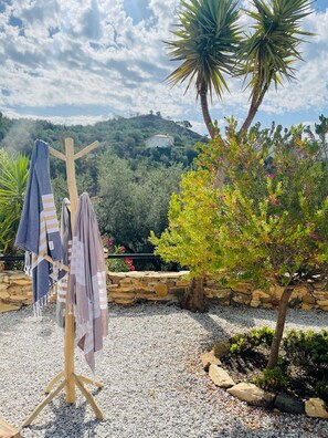 Property grounds - Spacious Detached Villa With Private Floodlit Pool (Los Romanes)