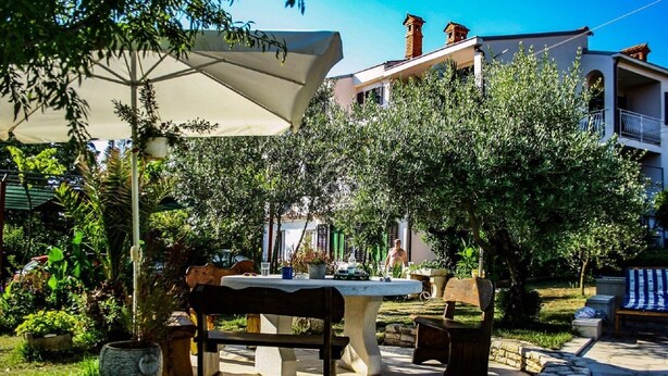 Un patio exterior con una mesa y sillas, rodeado de follaje y un edificio al fondo.