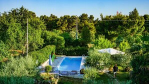 Una piscina rodeada de exuberante vegetación y árboles.
