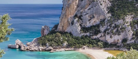 Apartment, 2 Bedrooms, Balcony | Beach