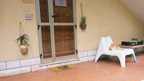 A cat lying on the ground in front of a building with a door and a bench. - Rickymary House, Pet Friendly (Senigallia)