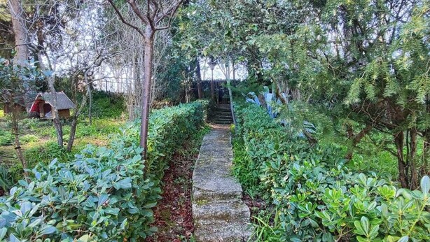 A stone pathway flanked by lush green foliage, leading to a structure in the distance. - Rickymary House, Pet Friendly (Senigallia)