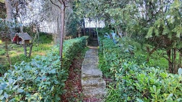 Apartment, 3 Bedrooms, Patio, Ocean View | Property grounds