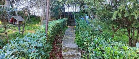 Apartment, 3 Schlafzimmer, Terrasse, Meerblick | Unterkunftsgelände