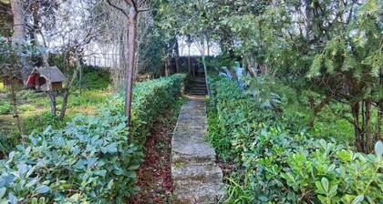 Rickymary House, Pet Friendly