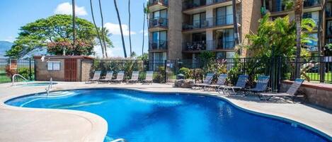 Outdoor pool, free pool cabanas, pool umbrellas