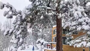 A two-story building with a snow-covered roof and surrounding trees.