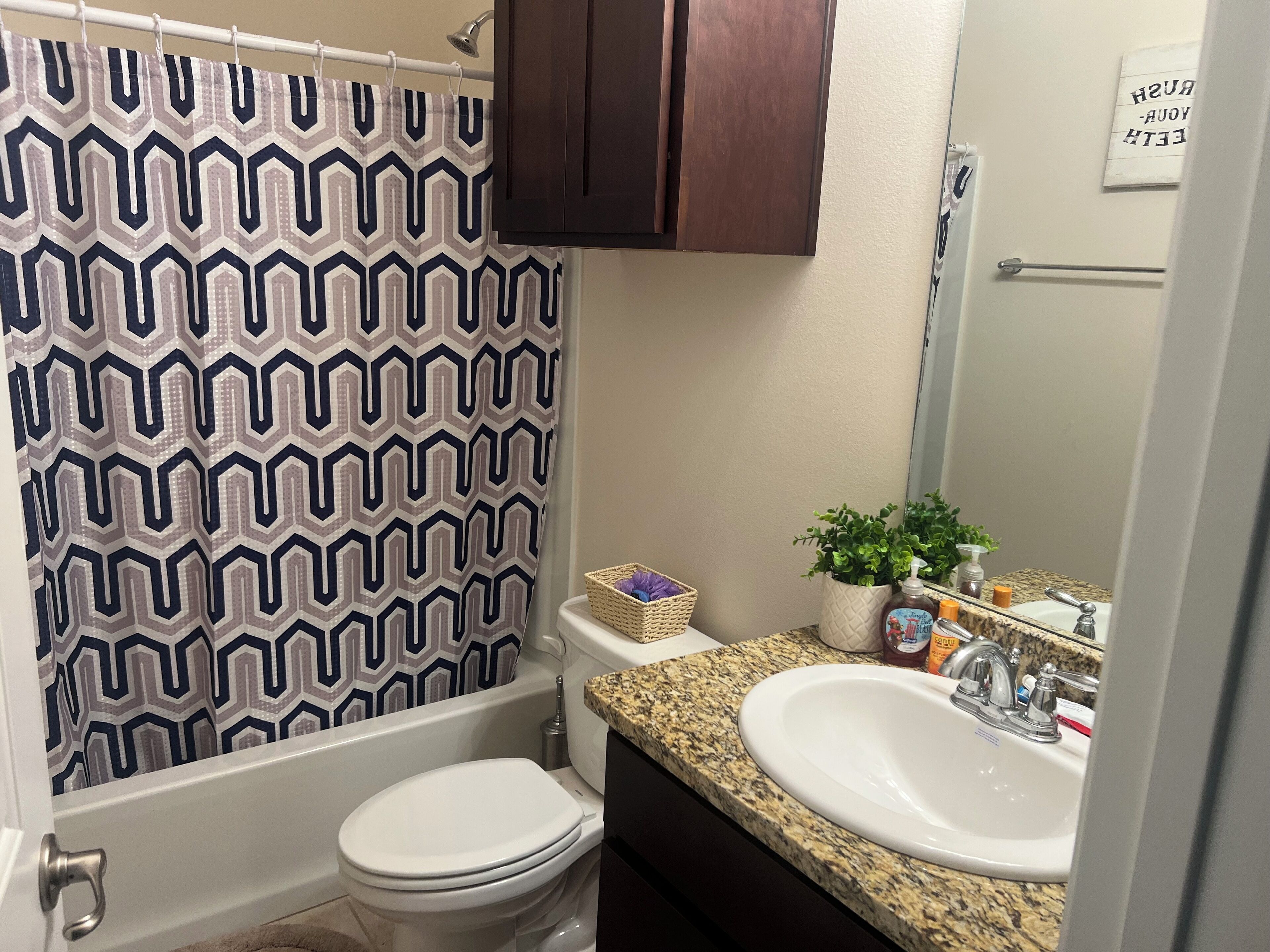 Ein Badezimmer mit einem waschbunt gemusterten Duschvorhang, einer weißen Toilette, einer Granit-Arbeitsplatte, einem Waschbecken mit Spiegel und einer kleinen Topfpflanze.