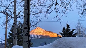 Paisagem coberta de neve com bétulas e uma montanha ao fundo.