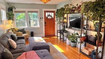 Smart TV, books, computer monitors