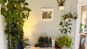 A modern kitchen with white cabinetry, a wooden floor, and various potted plants. - Urban Greenhouse (San Diego)