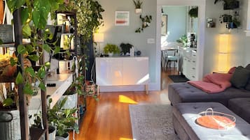 Smart TV, livros, monitores de computador