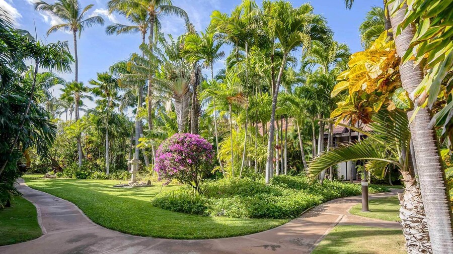 Tropical & Serene Garden Vistas