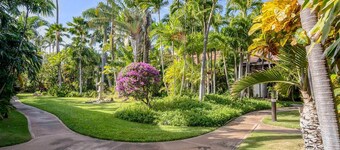 Tropical & Serene Garden Vistas