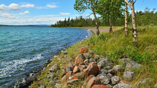 Une vue sur le lac, avec des bouleaux, une rive rocheuse et un ciel dégagé.