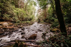 Property grounds - Black Creek Glamping (Robbins)
