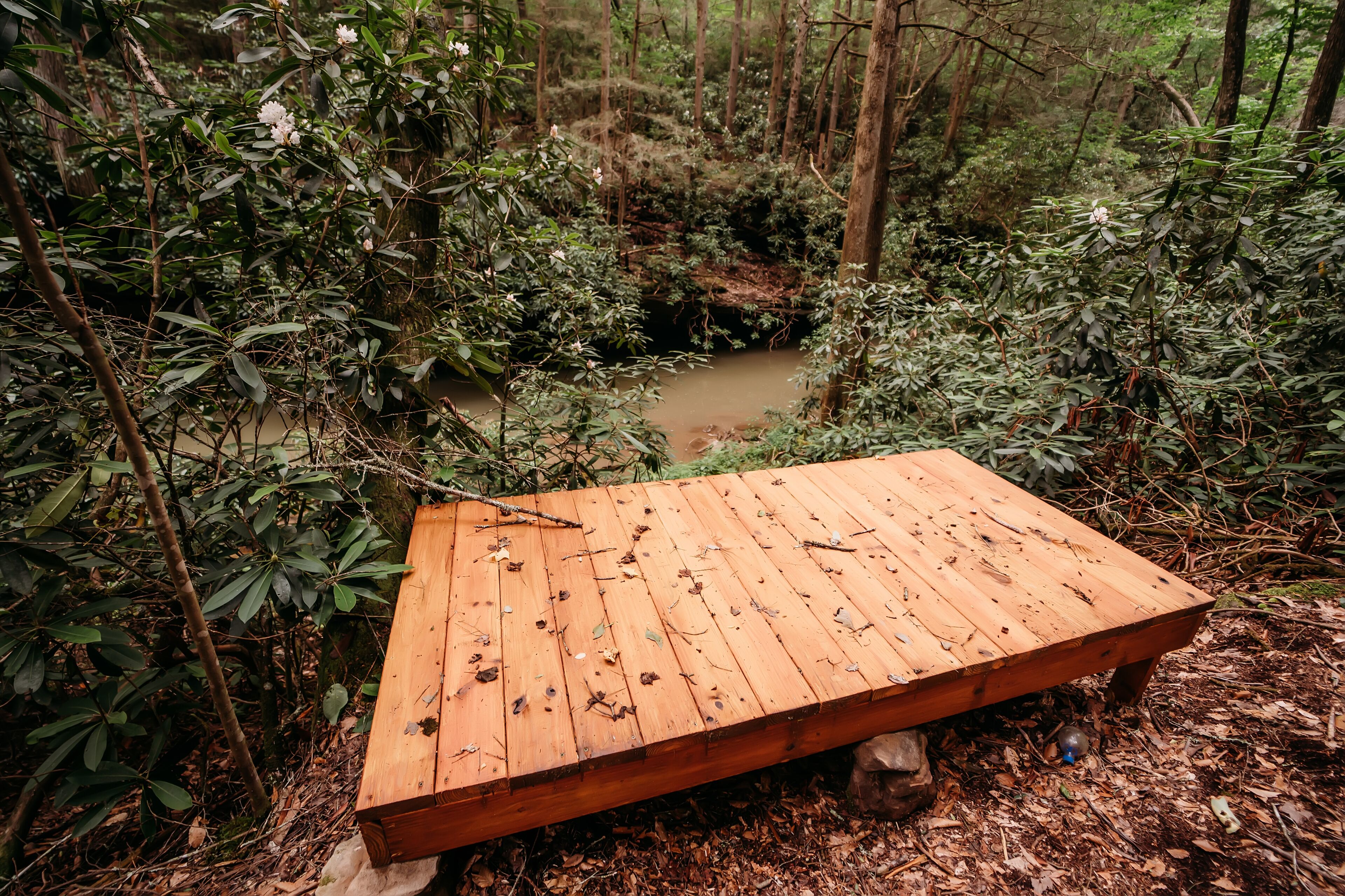 A wooden bench in a forested area with a small stream.