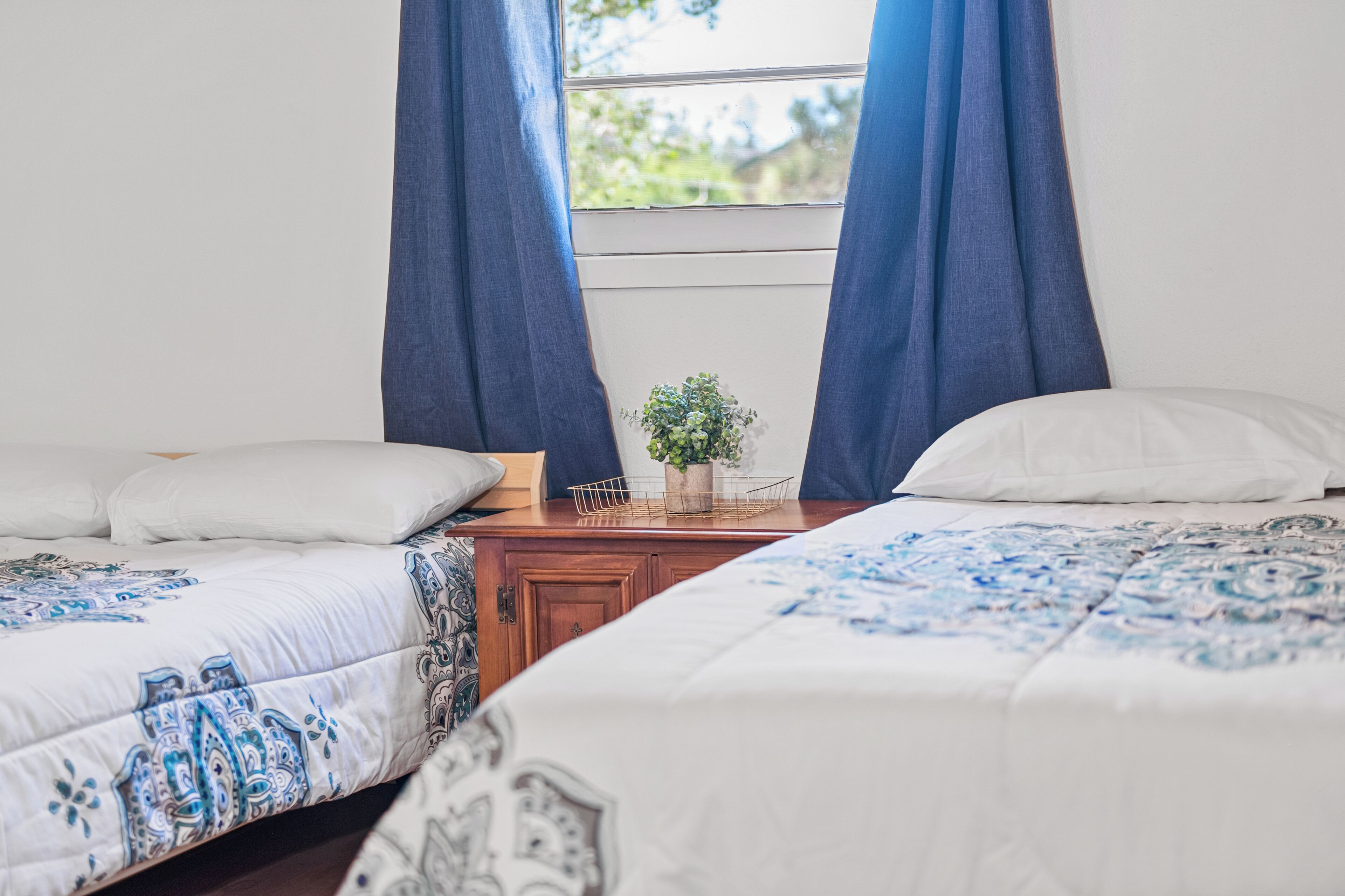 A bedroom with two beds, a window with blue curtains, a small table with a plant, and a white wall.