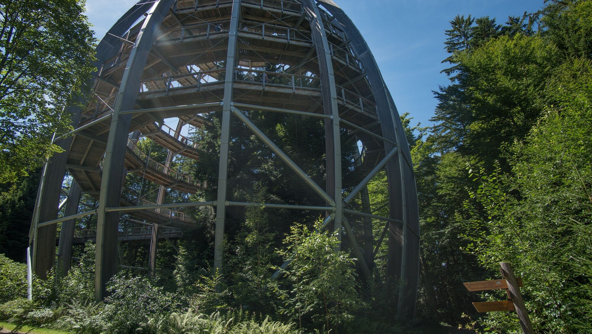 Une grande structure circulaire en métal, entourée d’une végétation luxuriante.