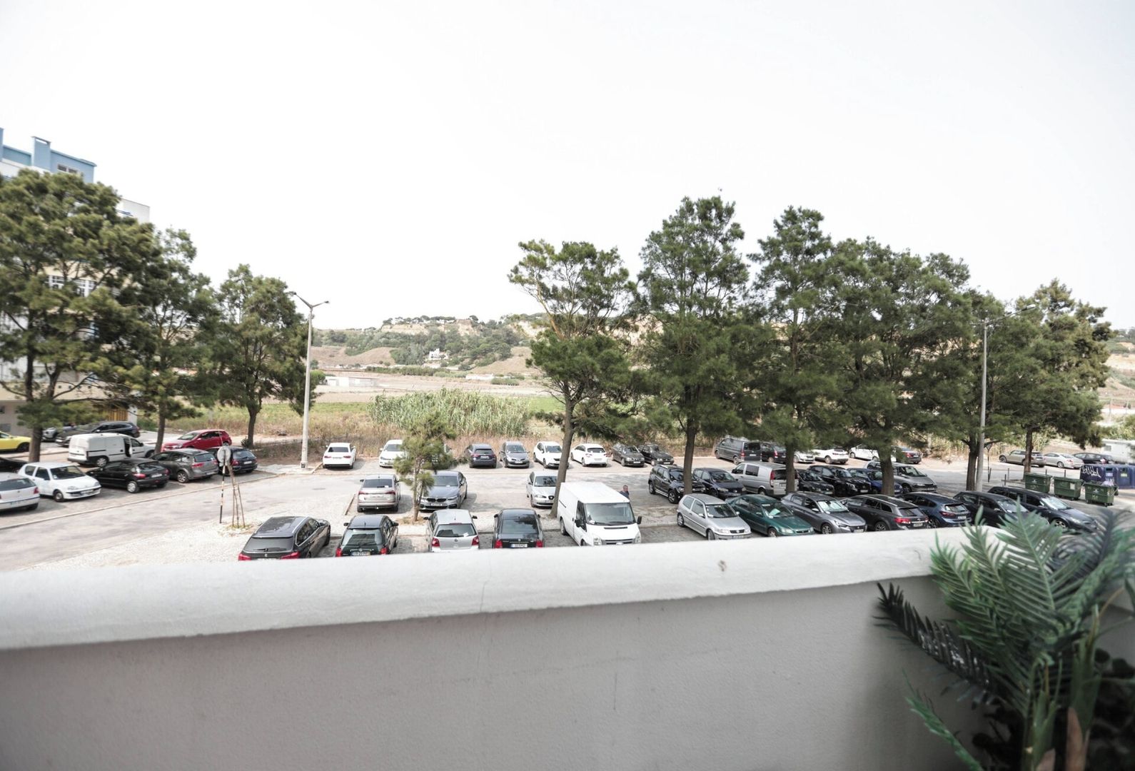 Ein Parkplatz mit mehreren Autos und einigen Bäumen.