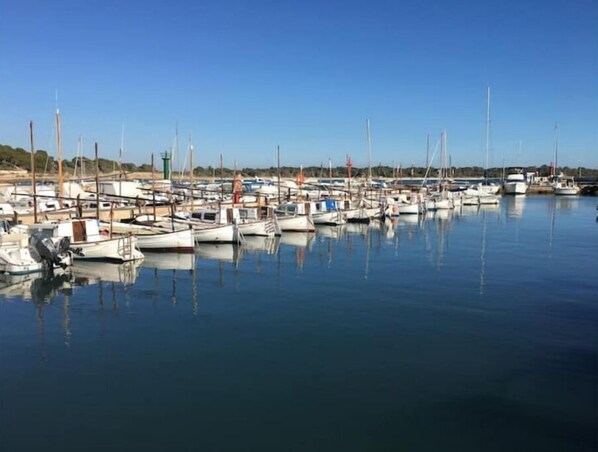Marina
