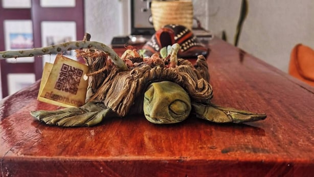 A wooden table with a decorative item resembling a turtle.