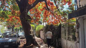 Dormitorio compartido, 1 habitación, patio | Áreas de la propiedad