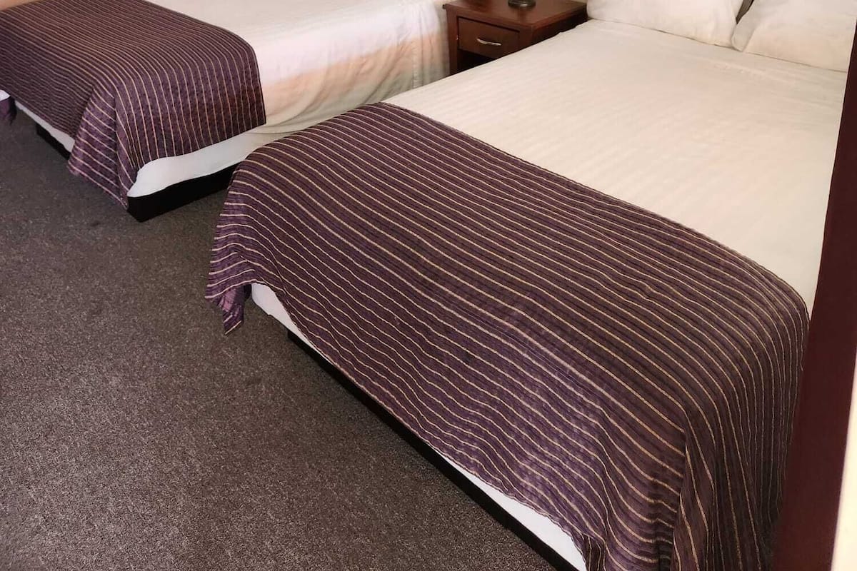 Habitación de hotel con dos camas, cada una con cubrecama a rayas marrones y almohadas blancas. Hay dos obras de arte enmarcadas en las paredes, un lámpara en el techo y una mesita de noche con una lámpara.