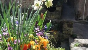 A narrow street with stone buildings, a small garden with flowers, and a sign reading "Rue des Dunes". - Historic Maison du Roy/Royal Chambers -3BR/2BR Apartment with Royal Fireplace (Saint-Antonin-Noble-Val)