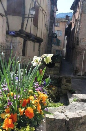 Exterior detail - Maison du Roy - Royal Chambers August still Available!  (Saint-Antonin-Noble-Val)