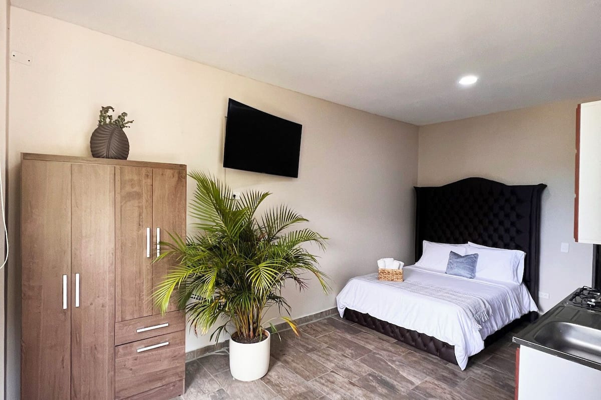 A bedroom with a bed, a TV, a wardrobe, a potted plant, and a kitchenette.