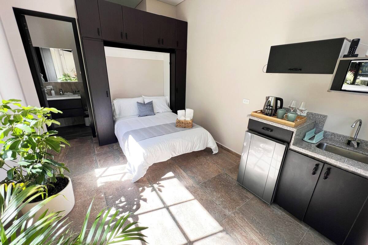 A modern bedroom with a large bed, a small kitchenette, and a potted plant.