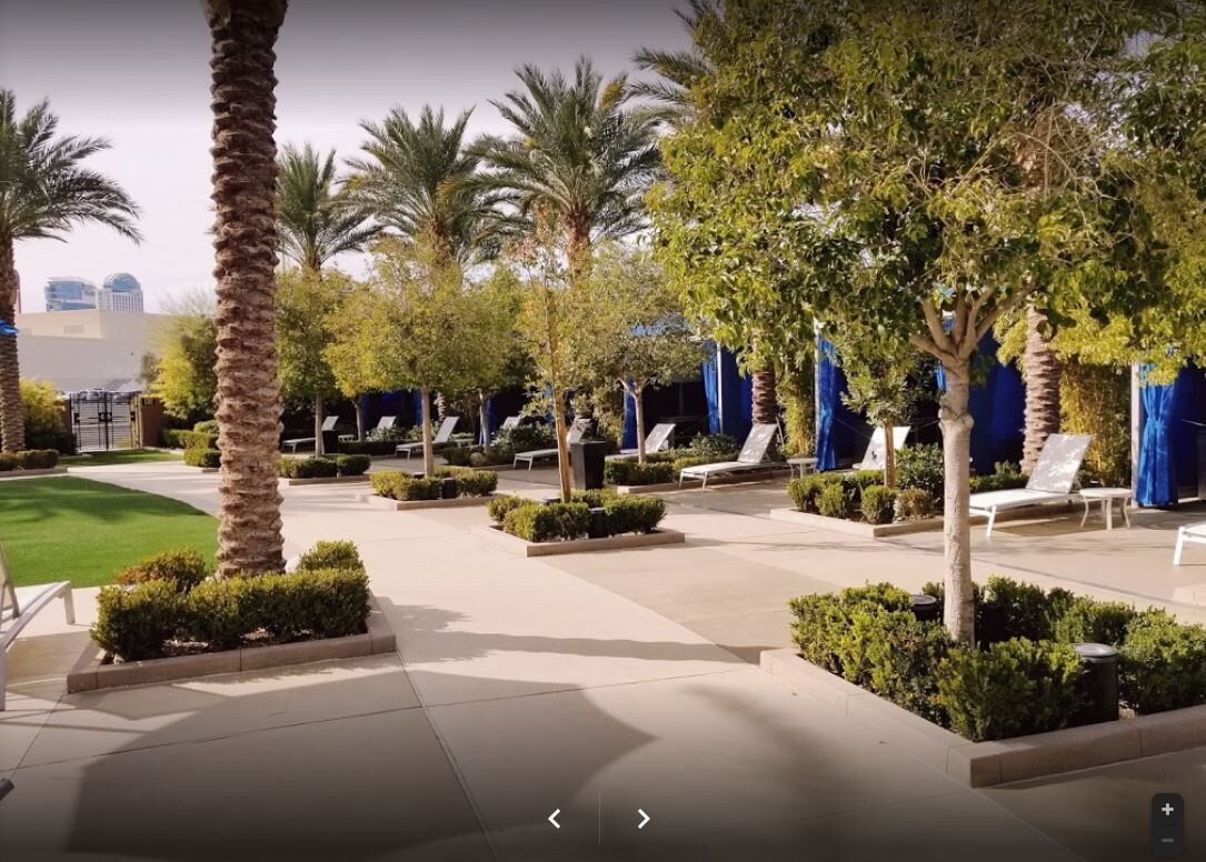 A courtyard with palm trees, lounge chairs, and a well-maintained lawn.