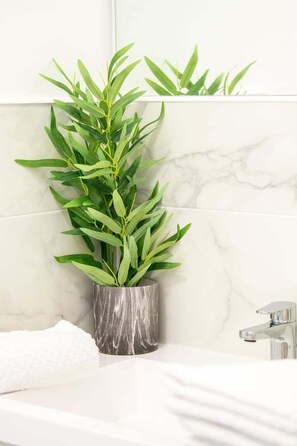 Douche, sèche-cheveux, serviettes fournies