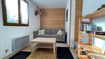 Télévision, lecteur de DVD, livres, chaßne hi-fi