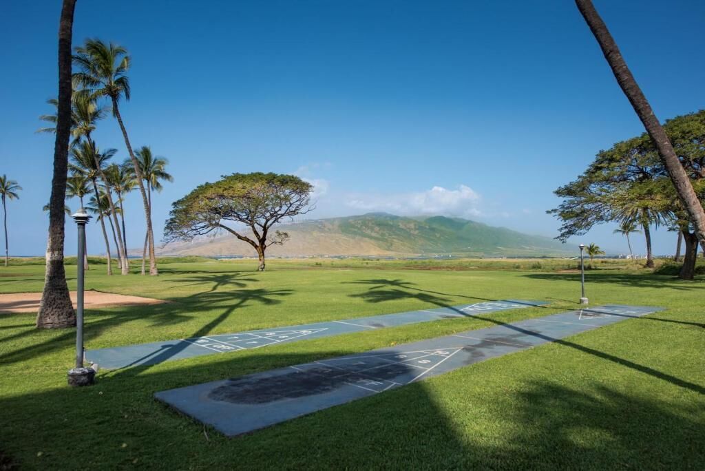 Ein Park mit einem Shuffleboardfeld, Palmen und einem Berg im Hintergrund.