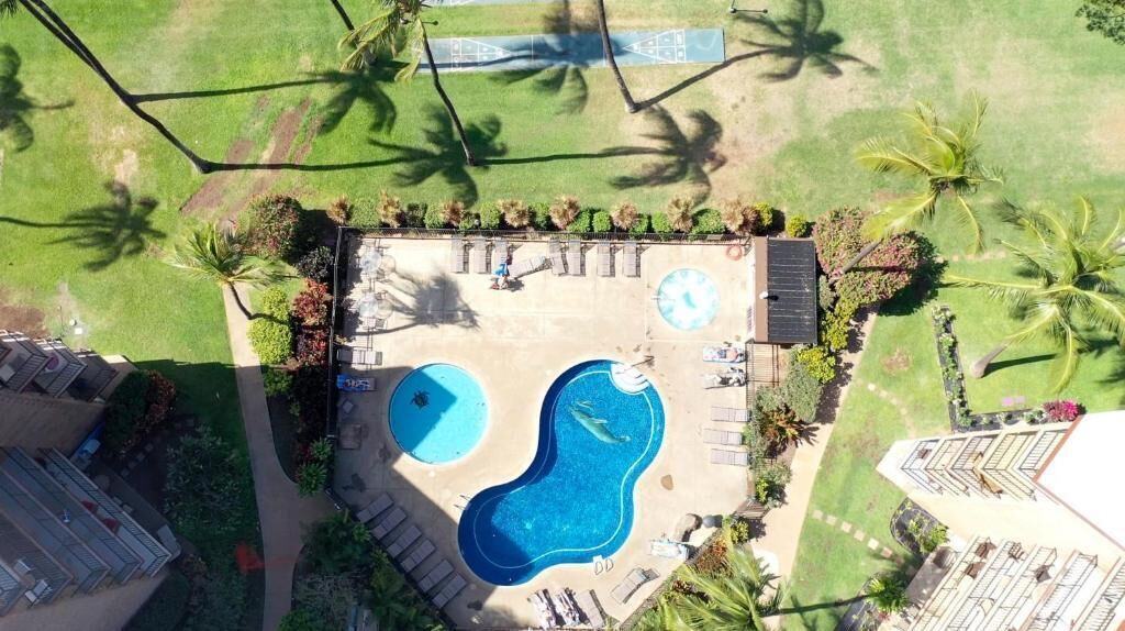 Oversigtsbillede af et resort med to swimmingpools, en solterrasse og palmer.