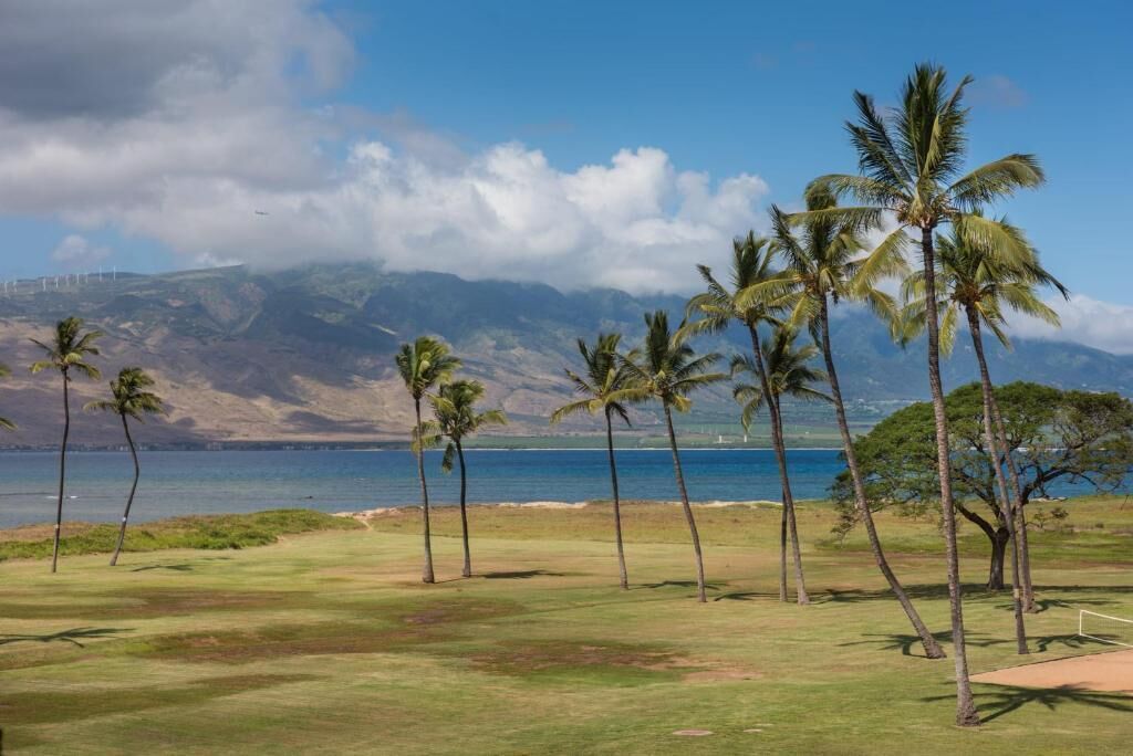 Un parcours de golf bordé de palmiers, offrant une vue sur l’océan et les montagnes.