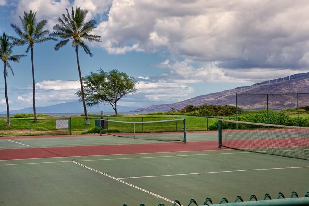 A tennis court with a net, surrounded by a fence, palm trees, and a hilly landscape in the background.