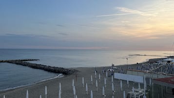 Lettini da mare