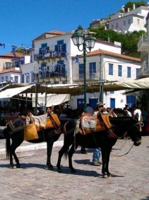 Miscellaneous - Explore islands in a day tour Athens (Amaliada)
